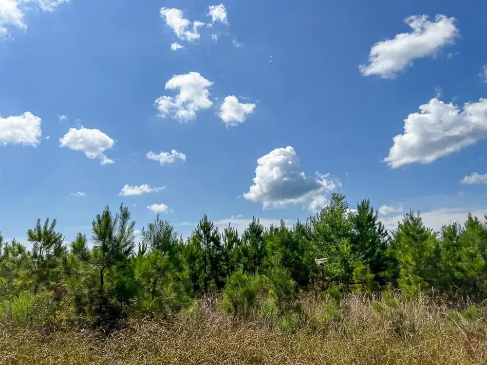 FM 1010 Cleveland, TX 77327