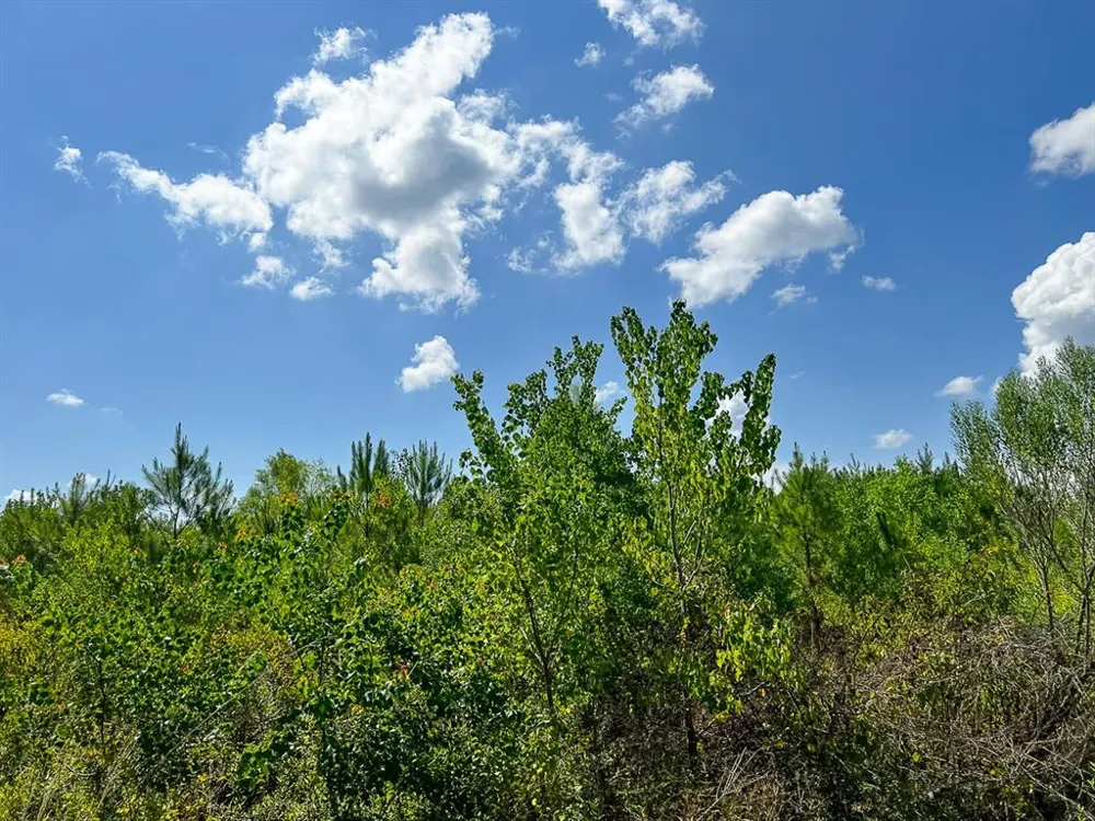 FM 1010 Cleveland, TX 77327