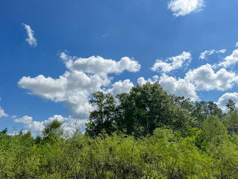 FM 1010 Cleveland, TX 77327