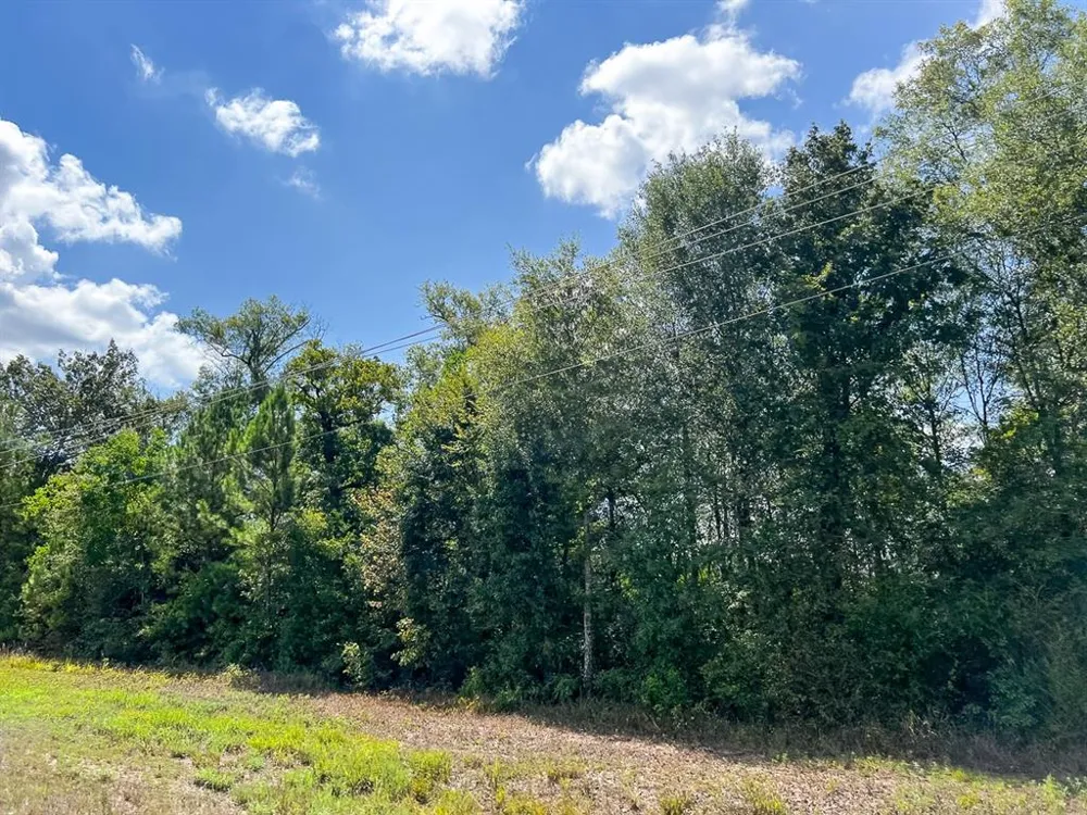 FM 1010 Cleveland, TX 77327