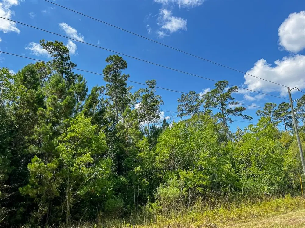 FM 1010 Cleveland, TX 77327