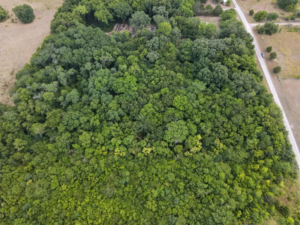 County Rd 4506 Whitewright, TX 75491