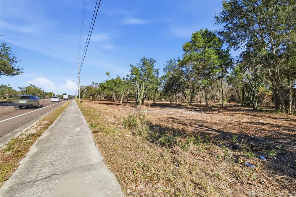 SUMMERALL AVE & SR 19 Tavares, FL 32778
