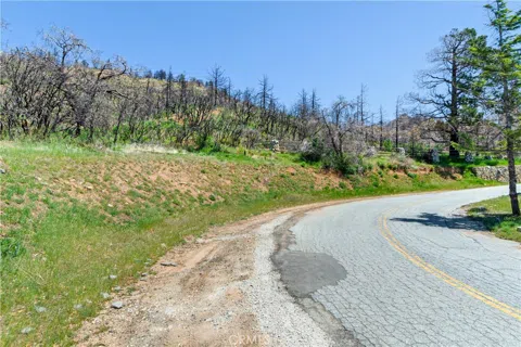 Pine Bench Road