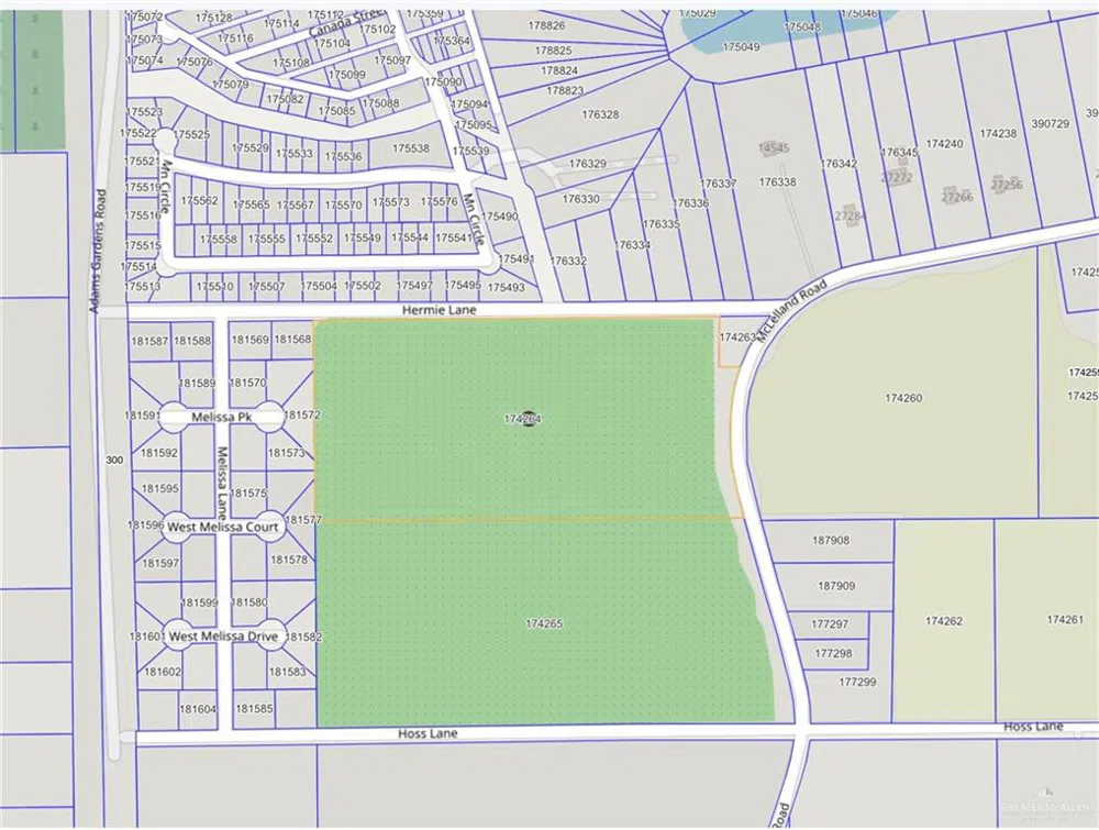 0 Hermie Lane Harlingen, TX 78552