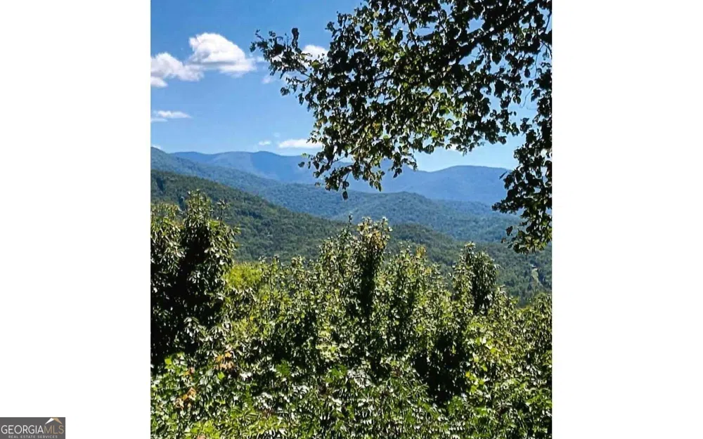 #50 Harris Ridge RD Young Harris, GA 30582