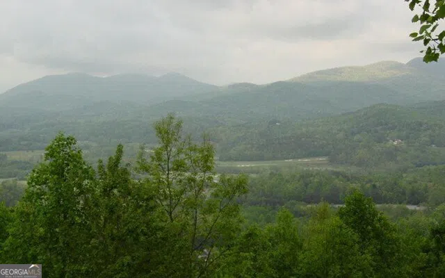 #50 Harris Ridge RD Young Harris, GA 30582