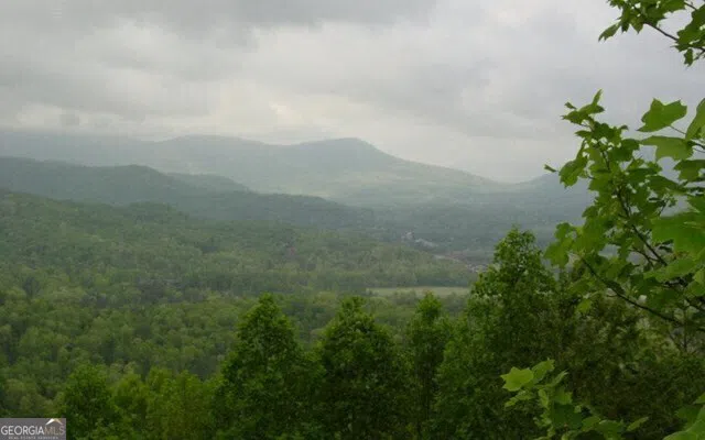 #50 Harris Ridge RD Young Harris, GA 30582