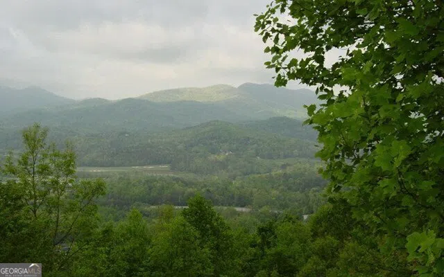 #50 Harris Ridge RD Young Harris, GA 30582
