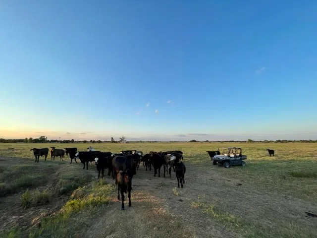 CR 358 Gause, TX 77857