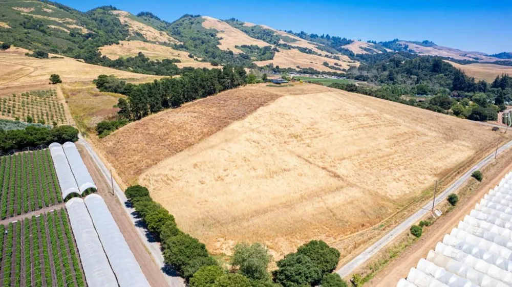 221 Peckham Road Watsonville, CA 95076