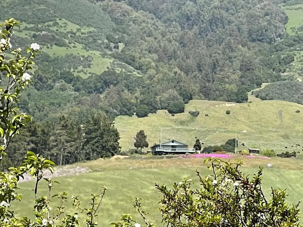 221 Peckham Road Watsonville, CA 95076