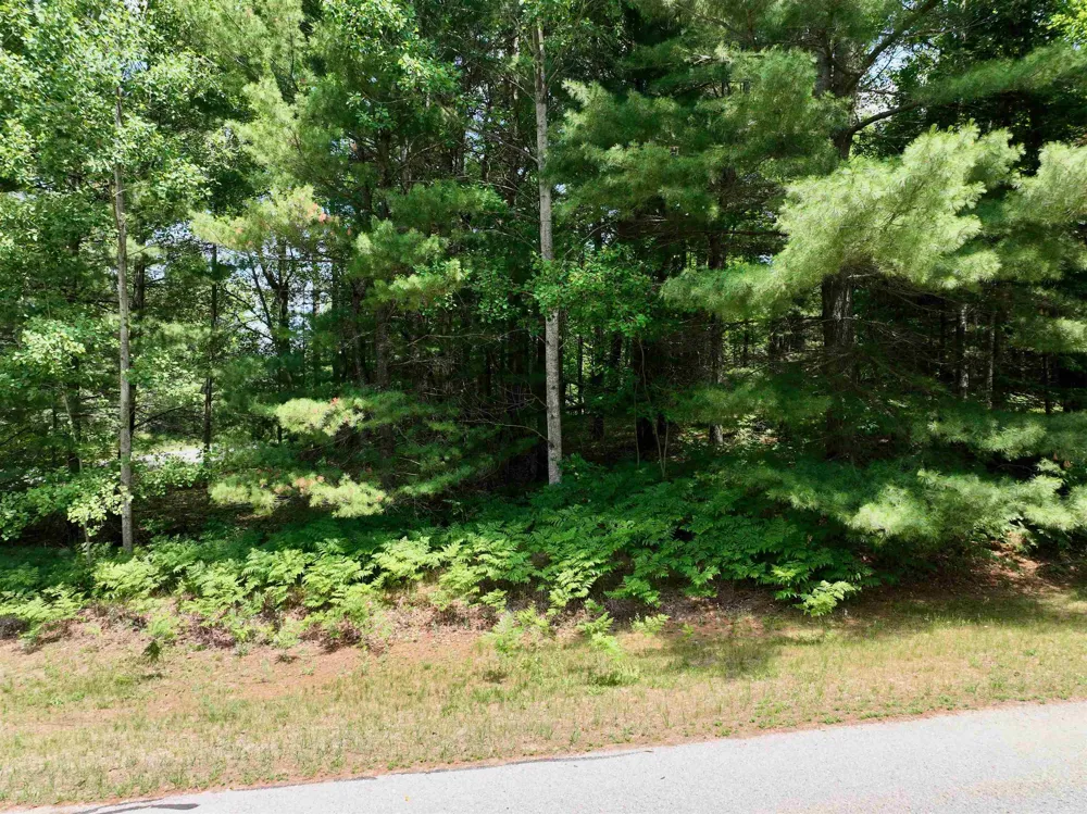 White Pine Drive Cherry Grove Township, MI 49601