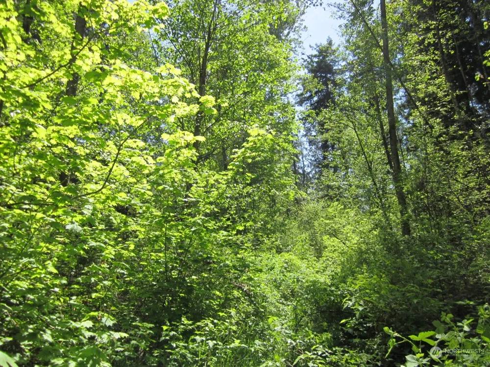 20633 SE 388th Street