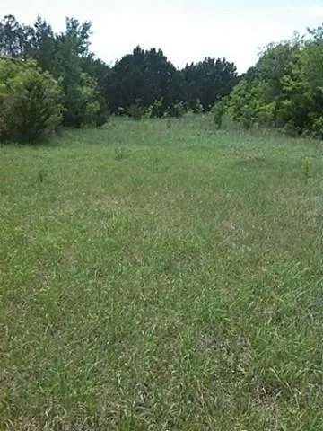 FM 1602 Hico, TX 76457