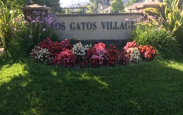 119 Escobar Avenue Los Gatos, CA 95032