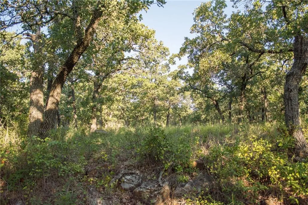 1020 Post Oak Road Gordon, TX 76453