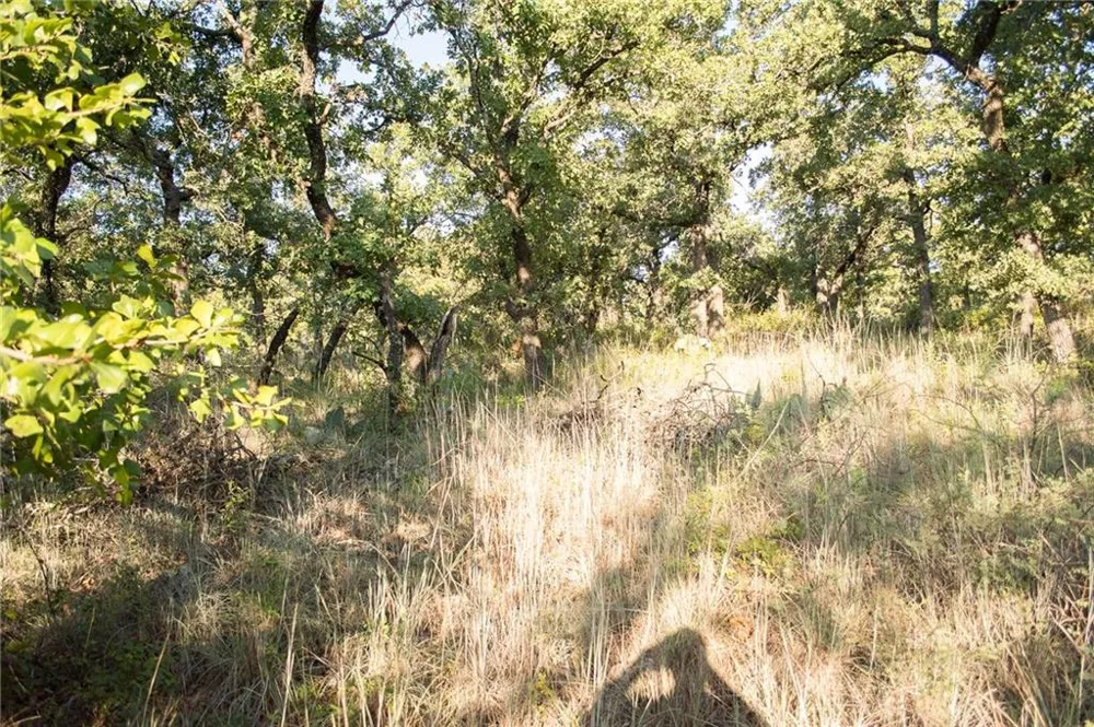 1020 Post Oak Road Gordon, TX 76453
