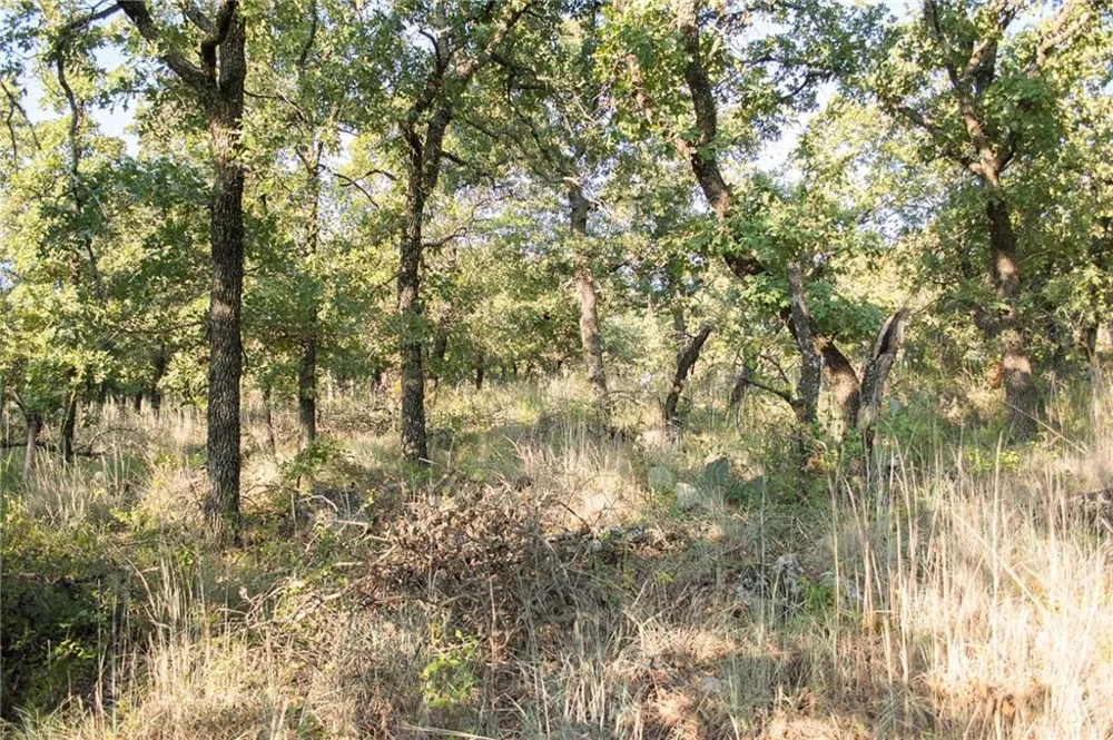 1020 Post Oak Road Gordon, TX 76453