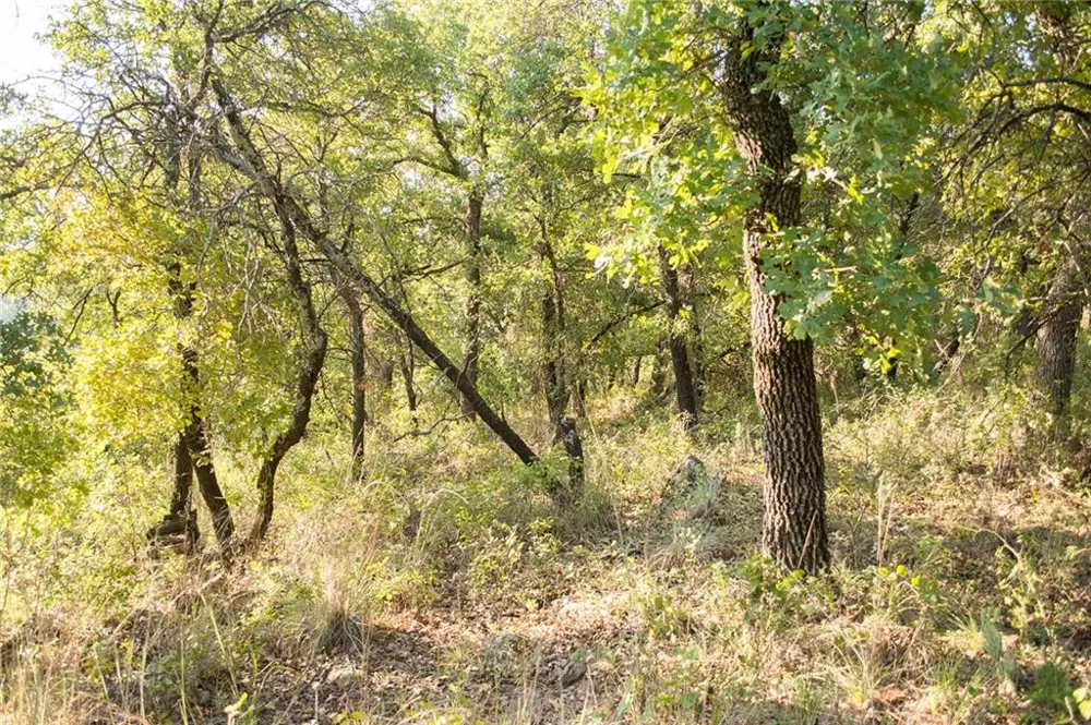 1020 Post Oak Road Gordon, TX 76453
