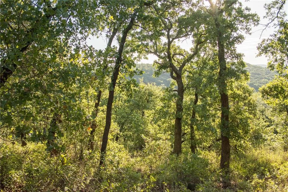 1020 Post Oak Road Gordon, TX 76453