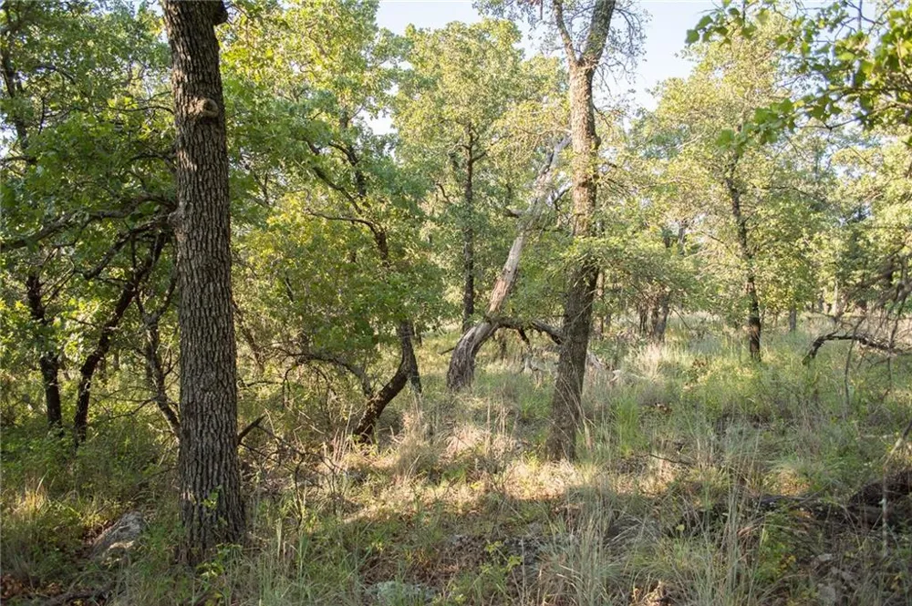 1020 Post Oak Road Gordon, TX 76453