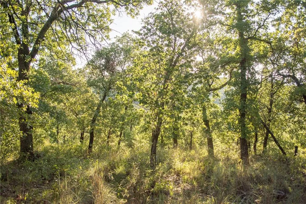 1020 Post Oak Road Gordon, TX 76453