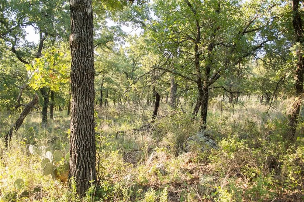 1020 Post Oak Road Gordon, TX 76453
