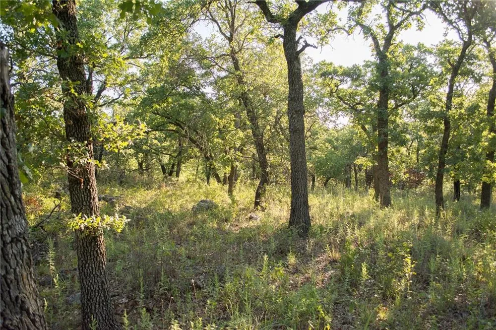 1020 Post Oak Road Gordon, TX 76453