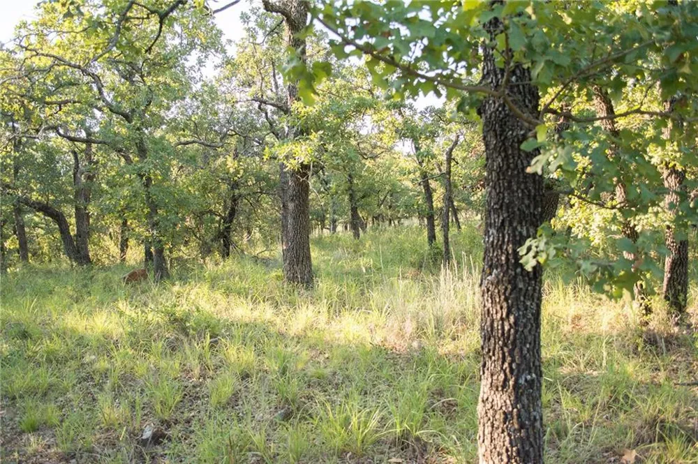 1020 Post Oak Road Gordon, TX 76453