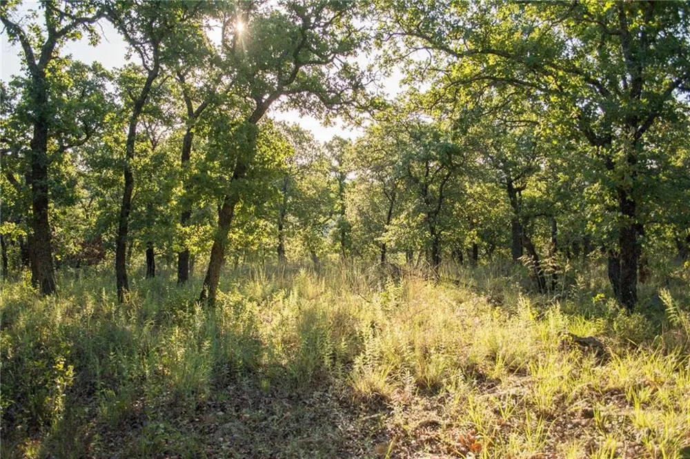 1020 Post Oak Road Gordon, TX 76453