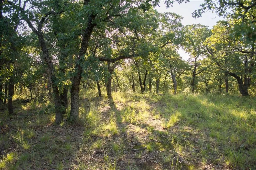 1020 Post Oak Road Gordon, TX 76453