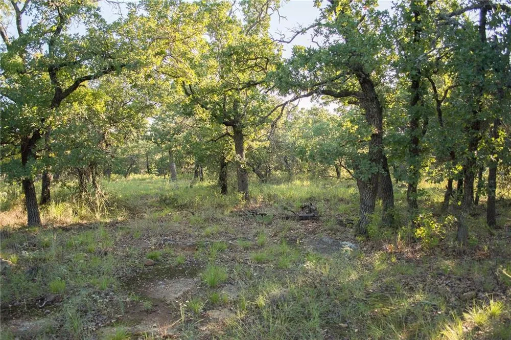 1020 Post Oak Road Gordon, TX 76453