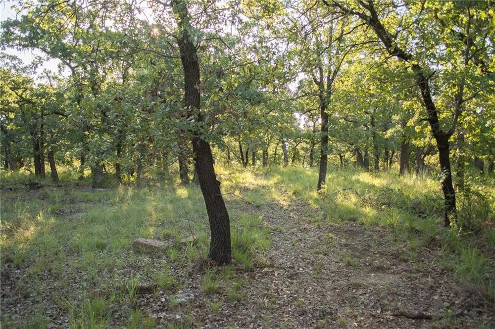1020 Post Oak Road Gordon, TX 76453