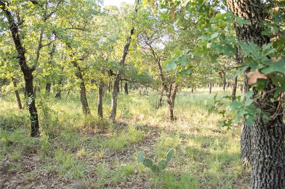 1020 Post Oak Road Gordon, TX 76453