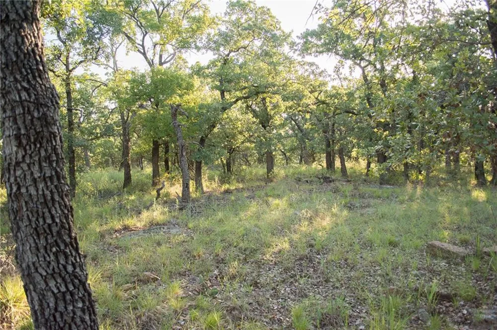 1020 Post Oak Road Gordon, TX 76453
