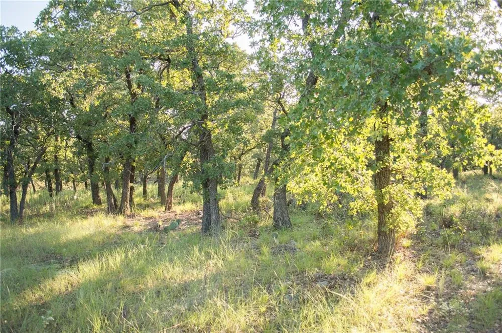 1020 Post Oak Road Gordon, TX 76453