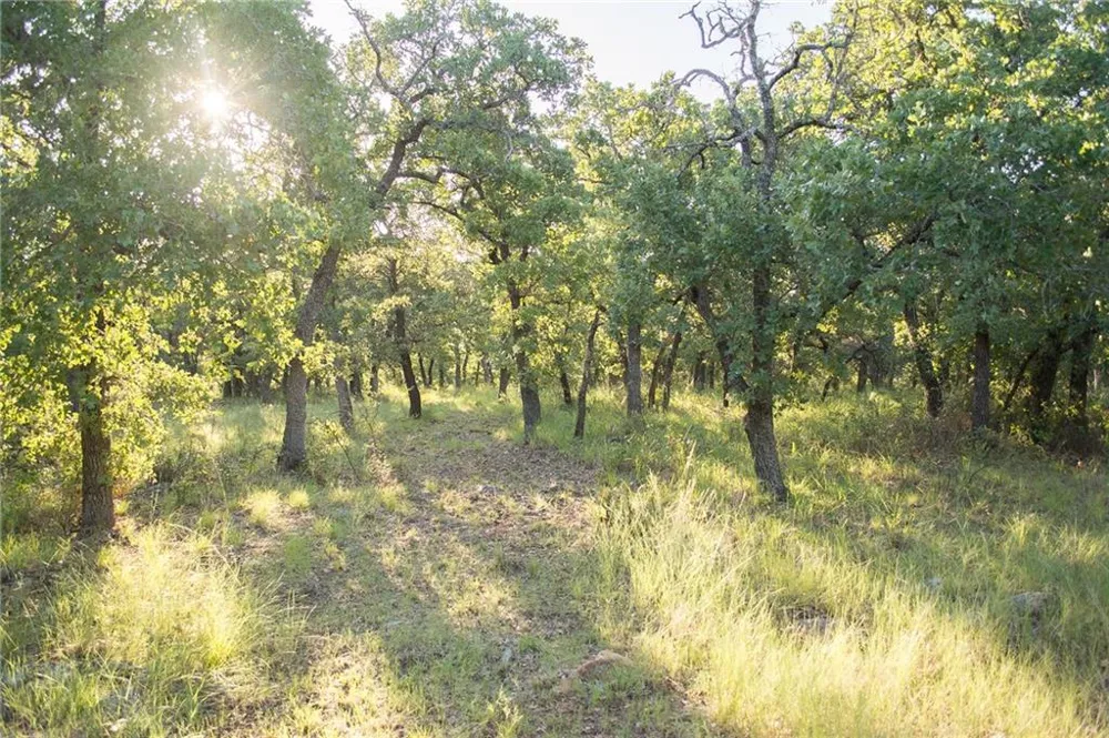 1020 Post Oak Road Gordon, TX 76453