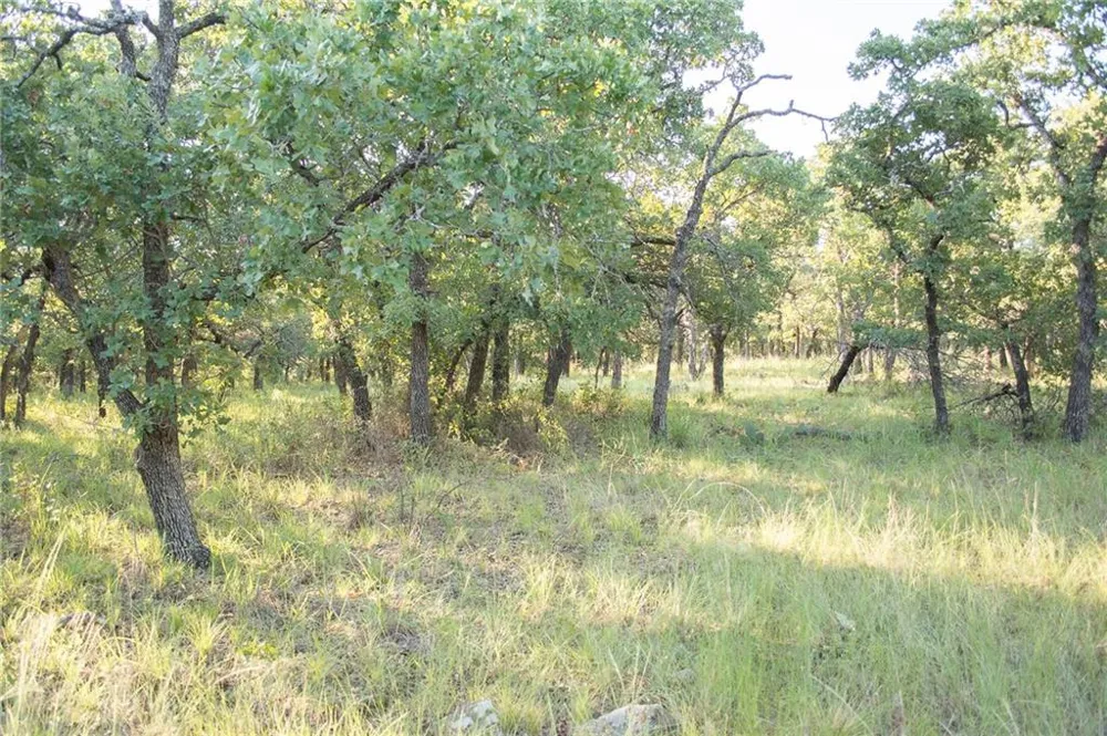 1020 Post Oak Road Gordon, TX 76453