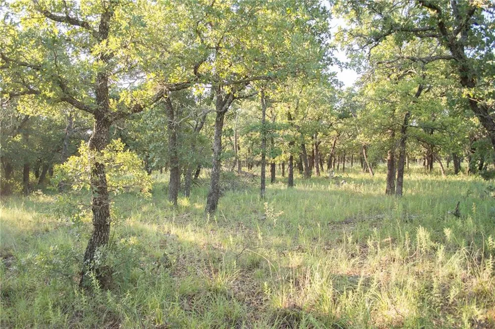1020 Post Oak Road Gordon, TX 76453
