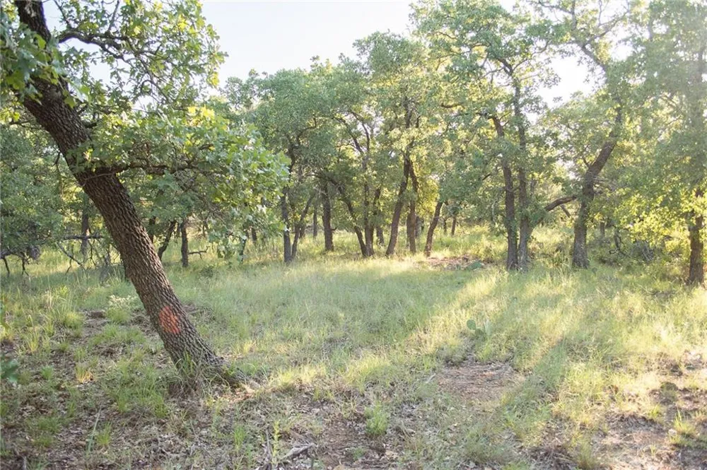 1020 Post Oak Road Gordon, TX 76453
