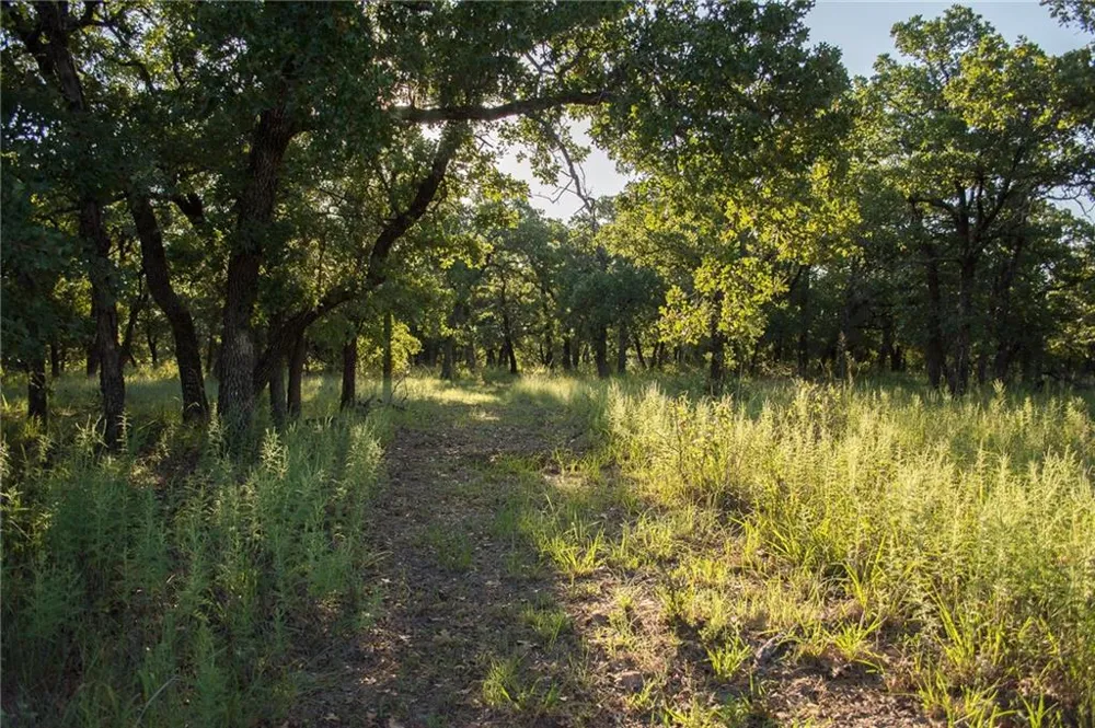1020 Post Oak Road Gordon, TX 76453