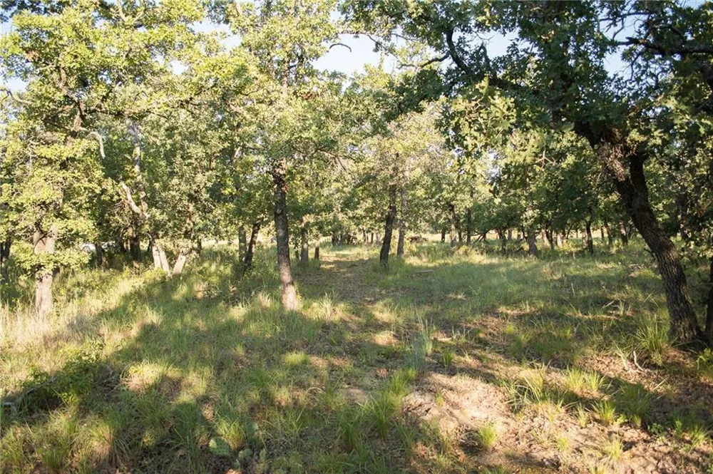 1020 Post Oak Road Gordon, TX 76453