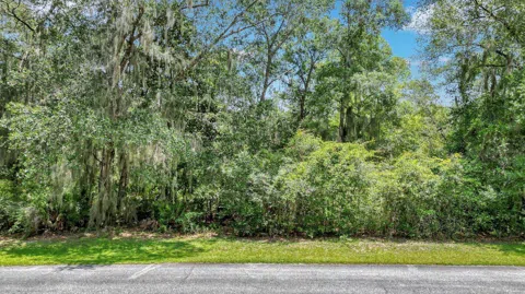 LOT 59 St Joseph's PT