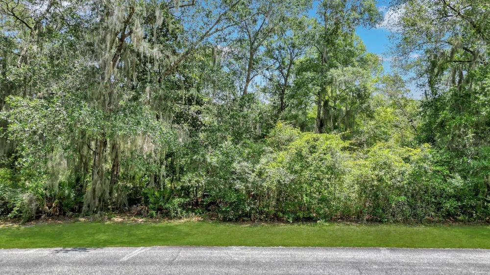 LOT 59 St Joseph's PT Darien, GA 31305