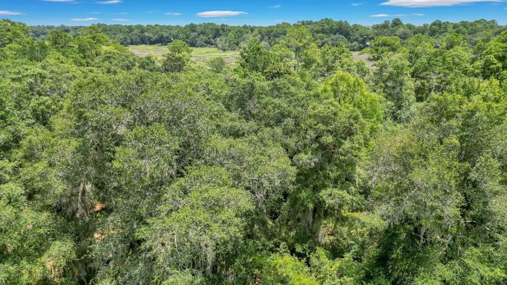 LOT 59 St Joseph's PT Darien, GA 31305