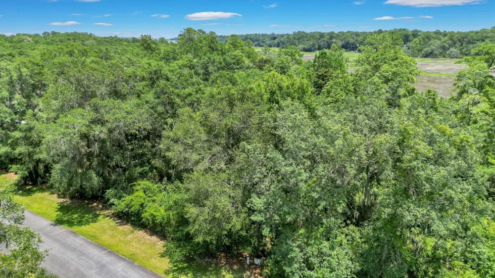 LOT 59 St Joseph's PT Darien, GA 31305