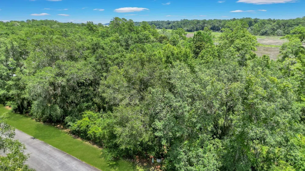LOT 59 St Joseph's PT Darien, GA 31305