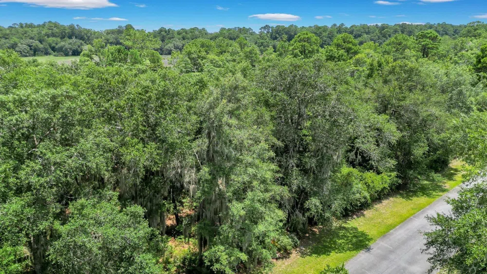 LOT 59 St Joseph's PT Darien, GA 31305