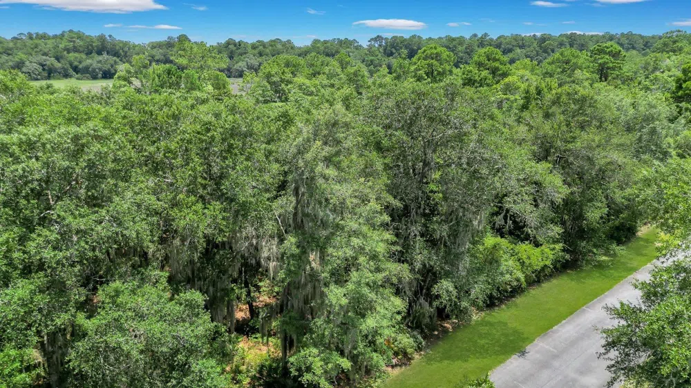 LOT 59 St Joseph's PT Darien, GA 31305